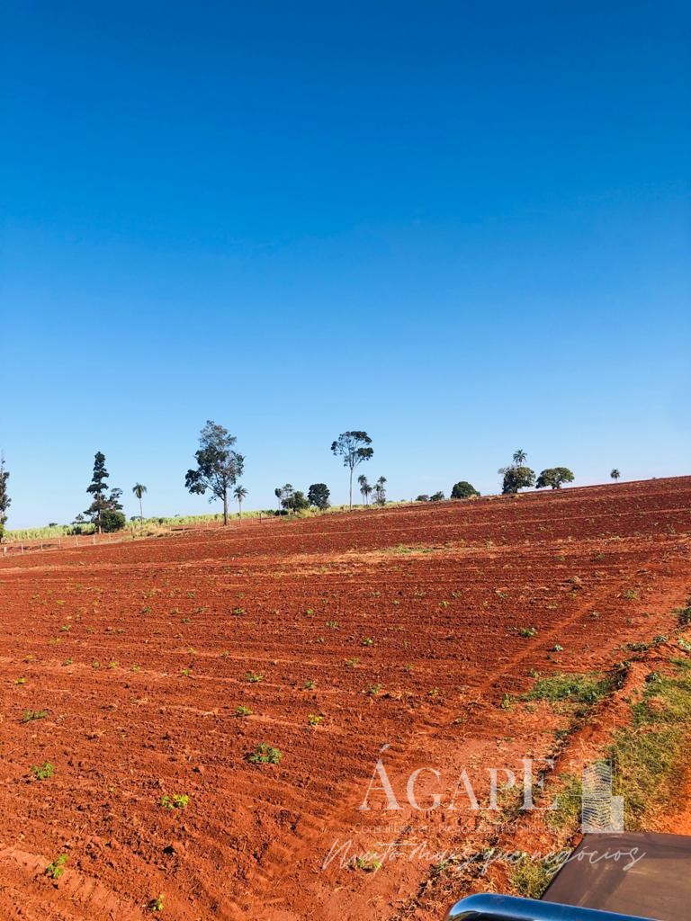 Área em Artur Nogueira