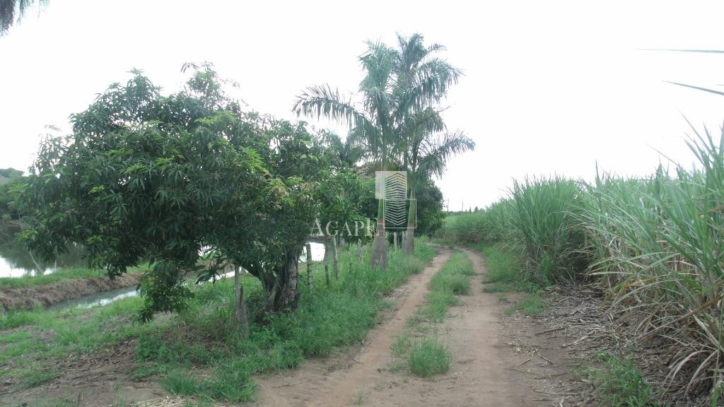 Sítio de 430.000 m² na vicinal Artur Nogueira x Mogi MIrim