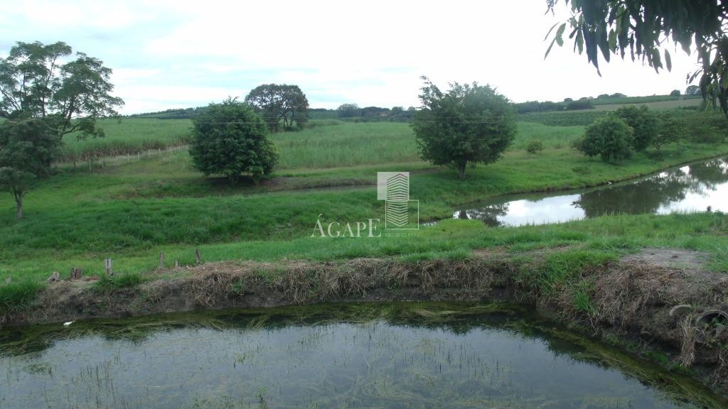 Sítio de 430.000 m² na vicinal Artur Nogueira x Mogi MIrim