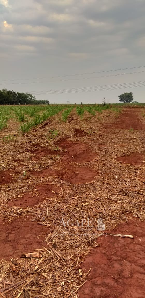 Área em Artur Nogueira