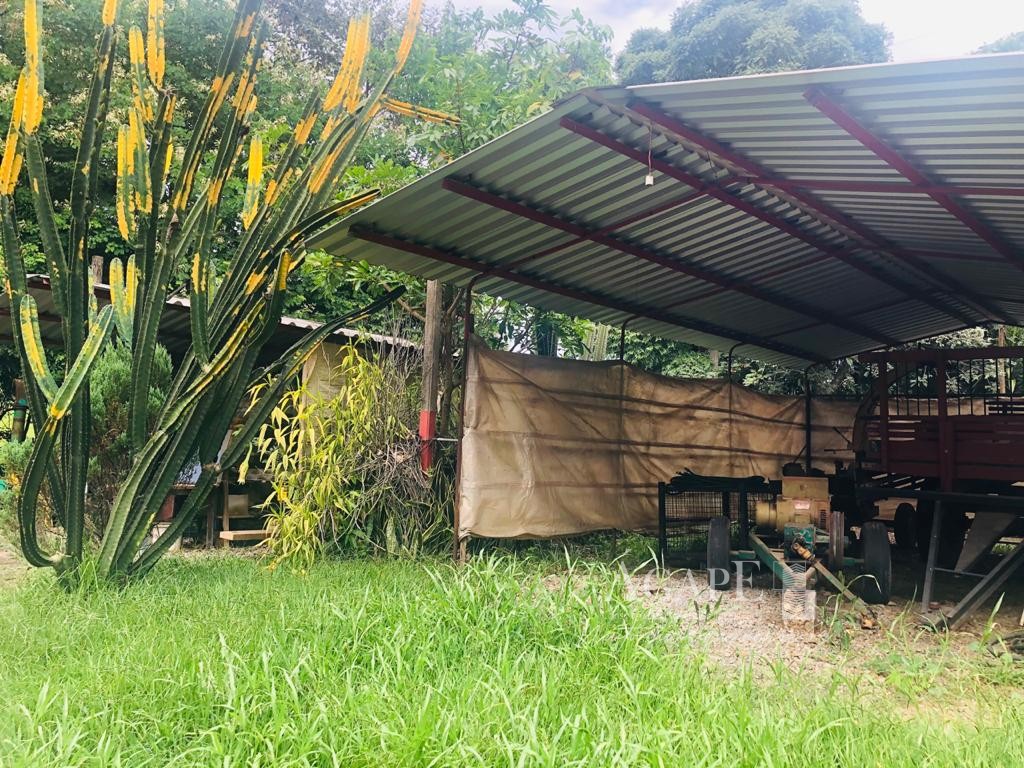 Sítio em Artur Nogueira