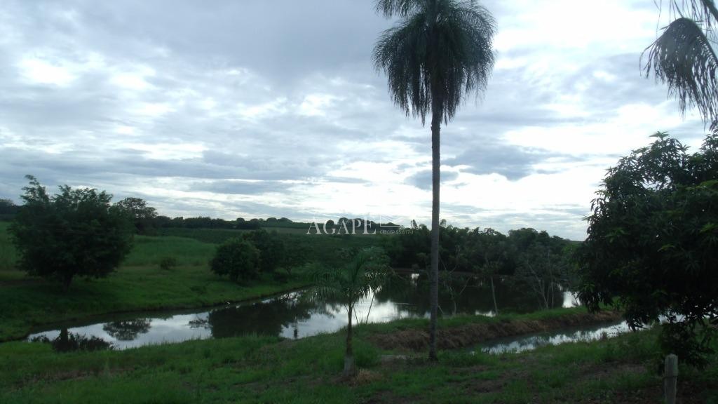 Sítio de 430.000 m² na vicinal Artur Nogueira x Mogi MIrim